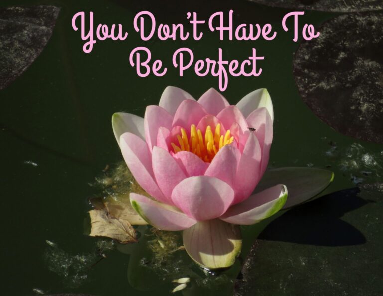 Self-Compassion Is the Missing Piece in Habit Building